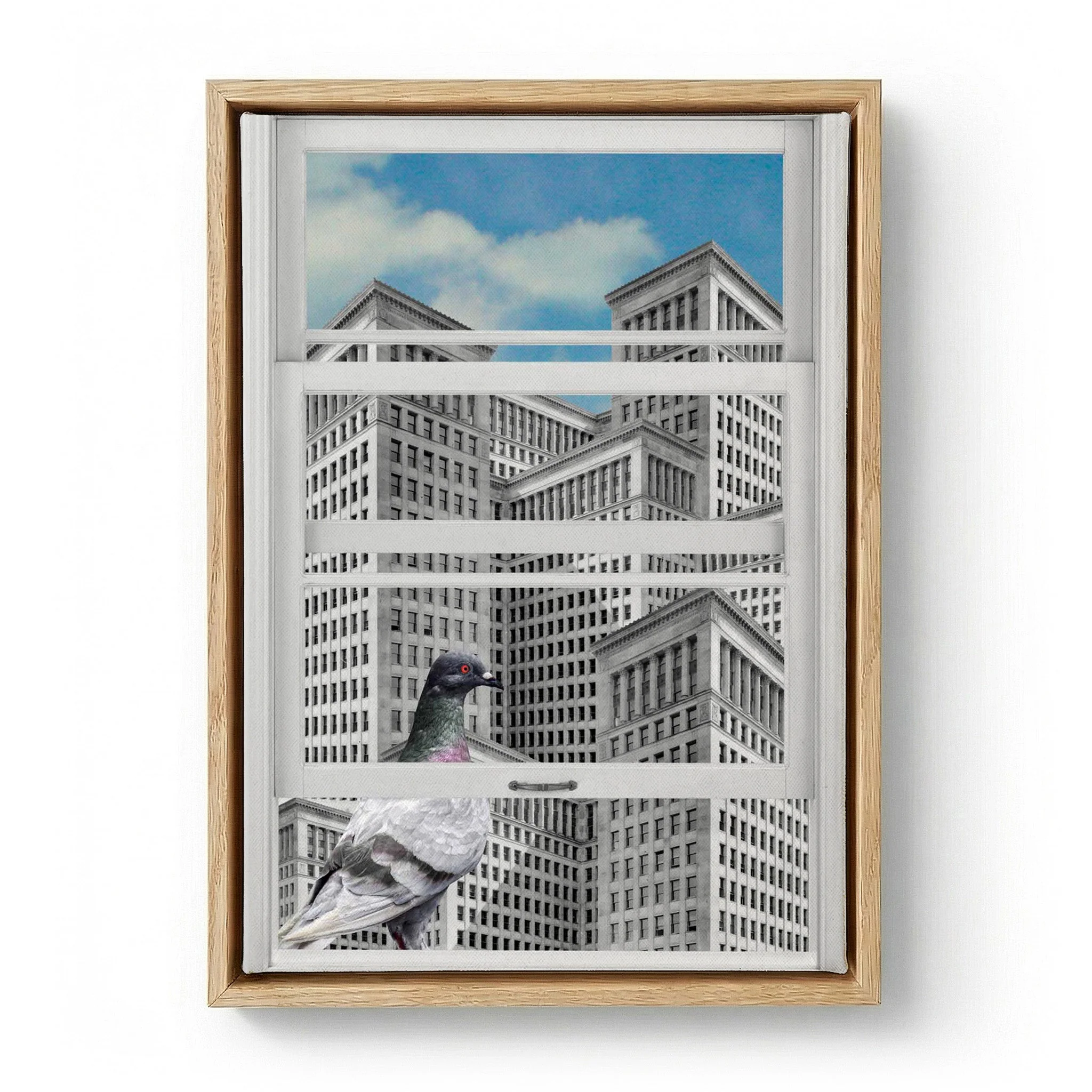Pigeon City Gaze by Marja van den Hurk