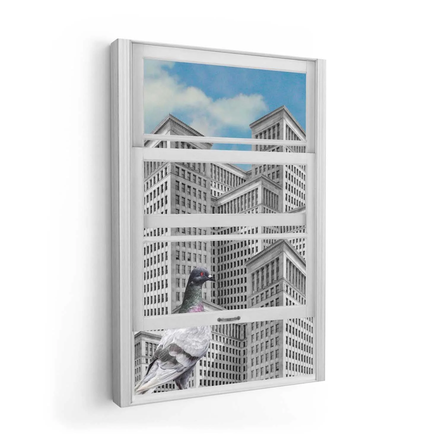 Pigeon City Gaze by Marja van den Hurk - Image 7