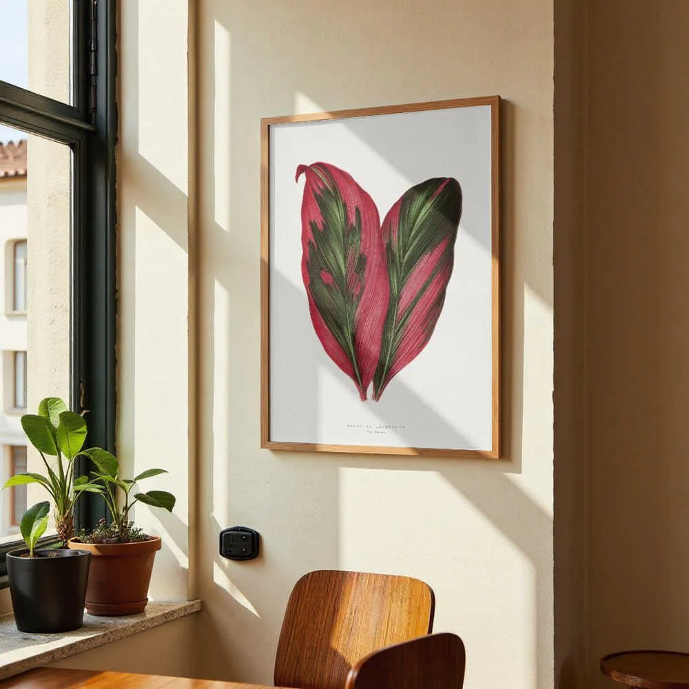 Pink Dracaena Terminalis Leaf Illustration by Les Plantes a Feuillage Colore - Image 4