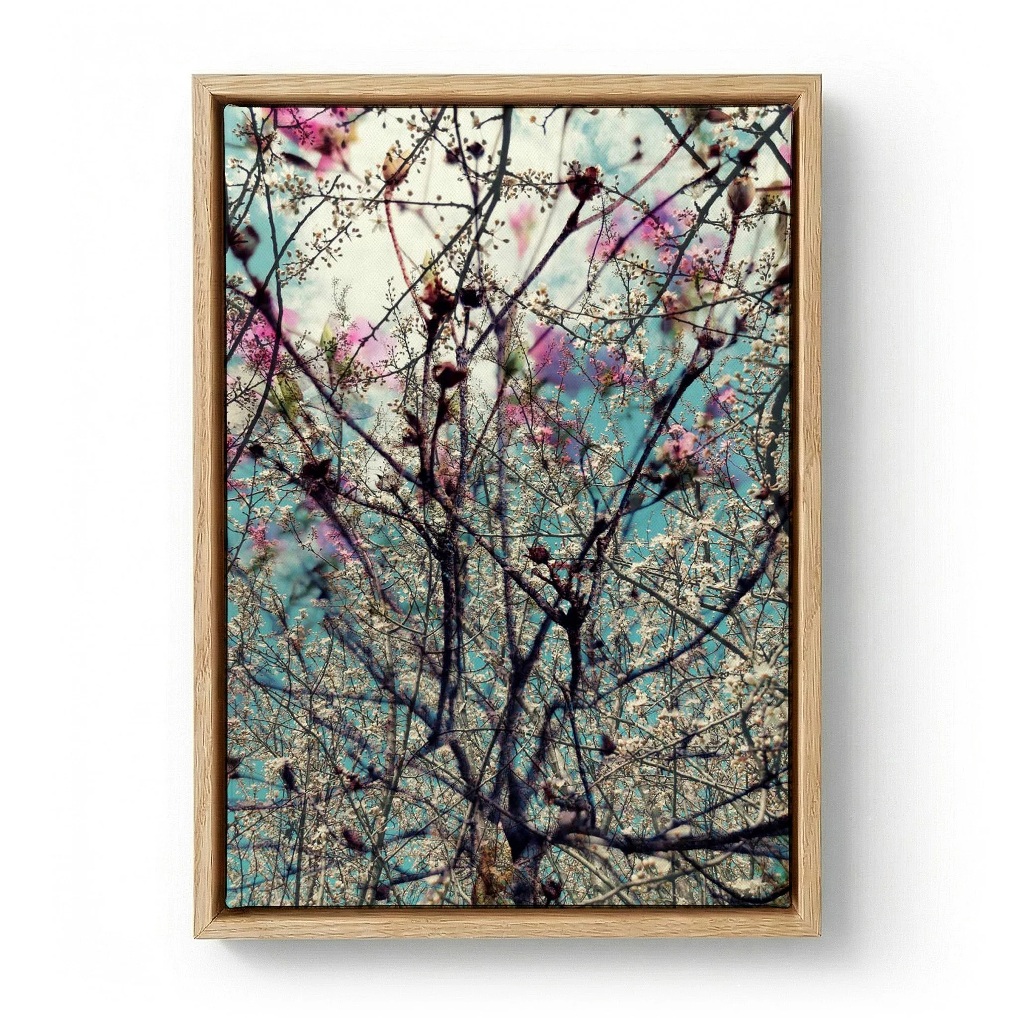 Pink White Spring Blossoms by Angelo Cerantola