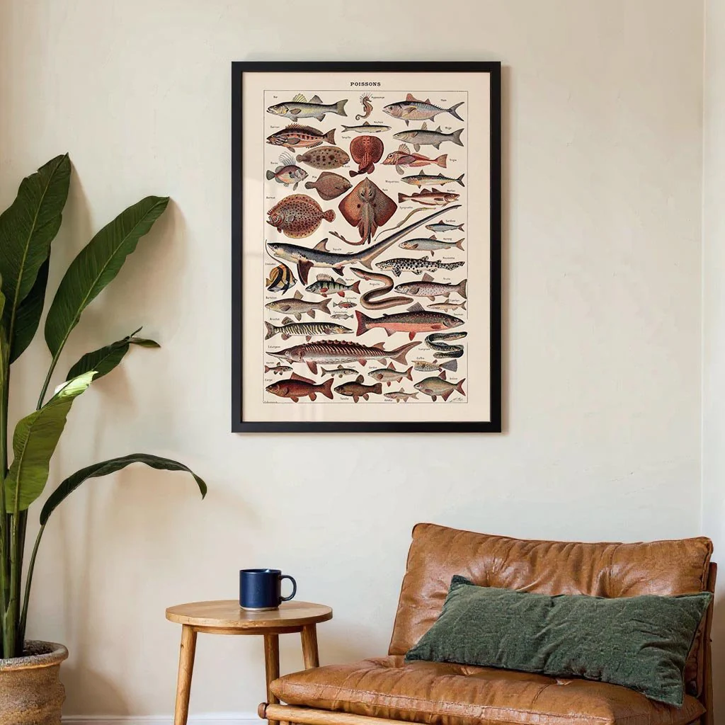Poissons Fish - Image 3