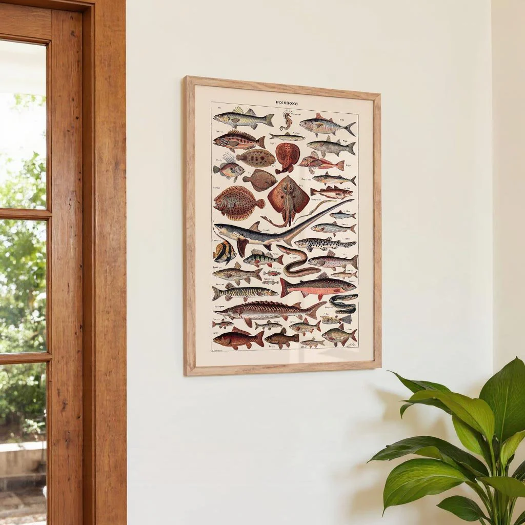 Poissons Fish - Image 4