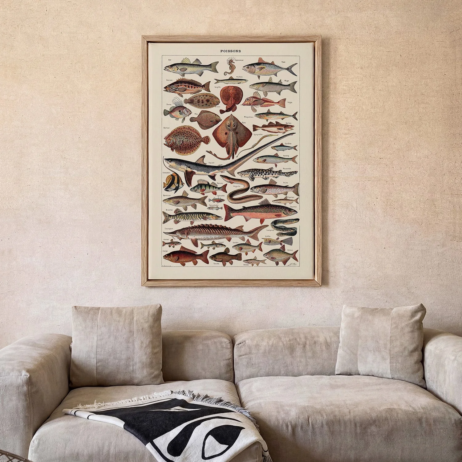 Poissons Fish - Image 2