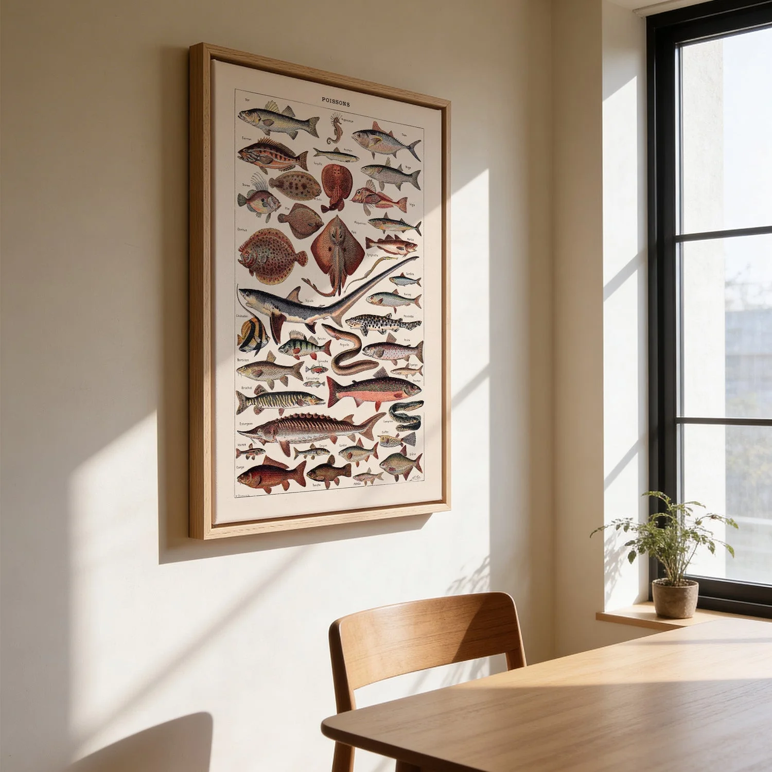 Poissons Fish - Image 3