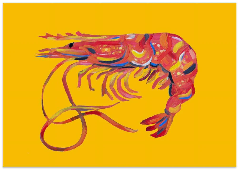 Prawn On Yellow by Alice Straker - Image 8