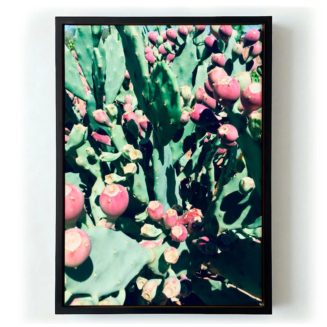 Prickly Pear by Andrea Schindler - Image 5