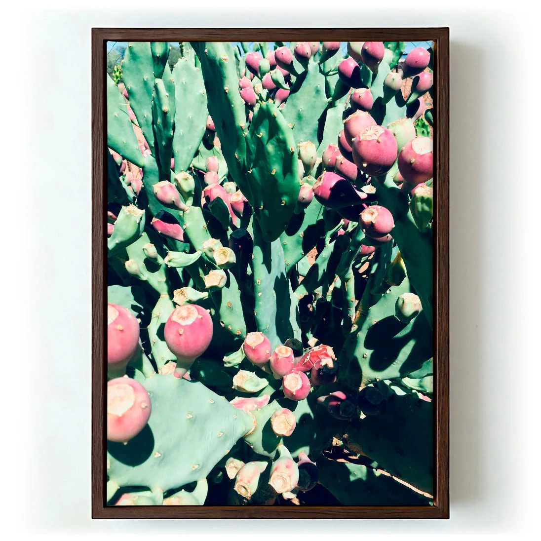 Prickly Pear by Andrea Schindler - Image 6