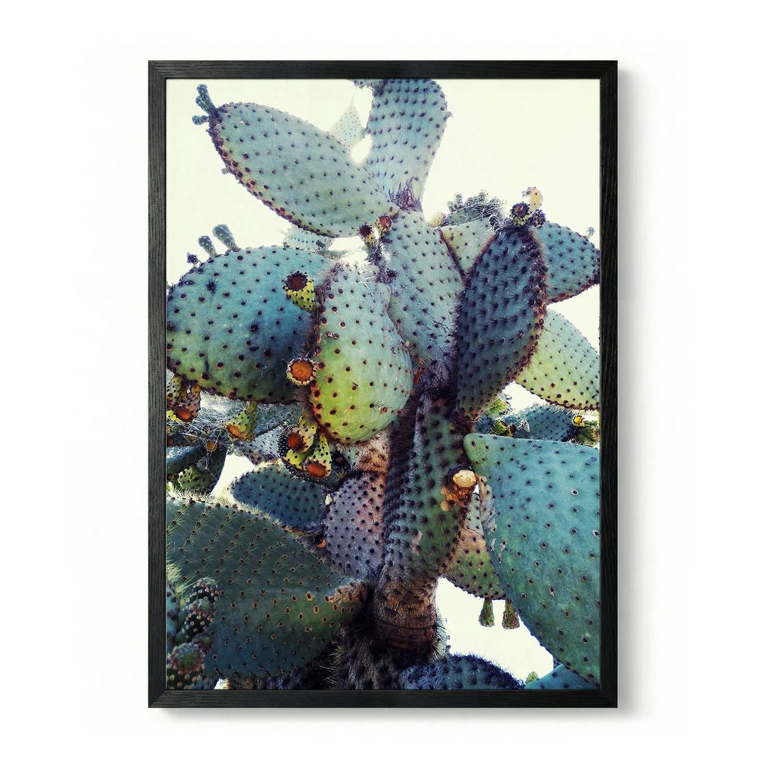 Prickly Pear Cactus by Angelo Cerantola - Image 5