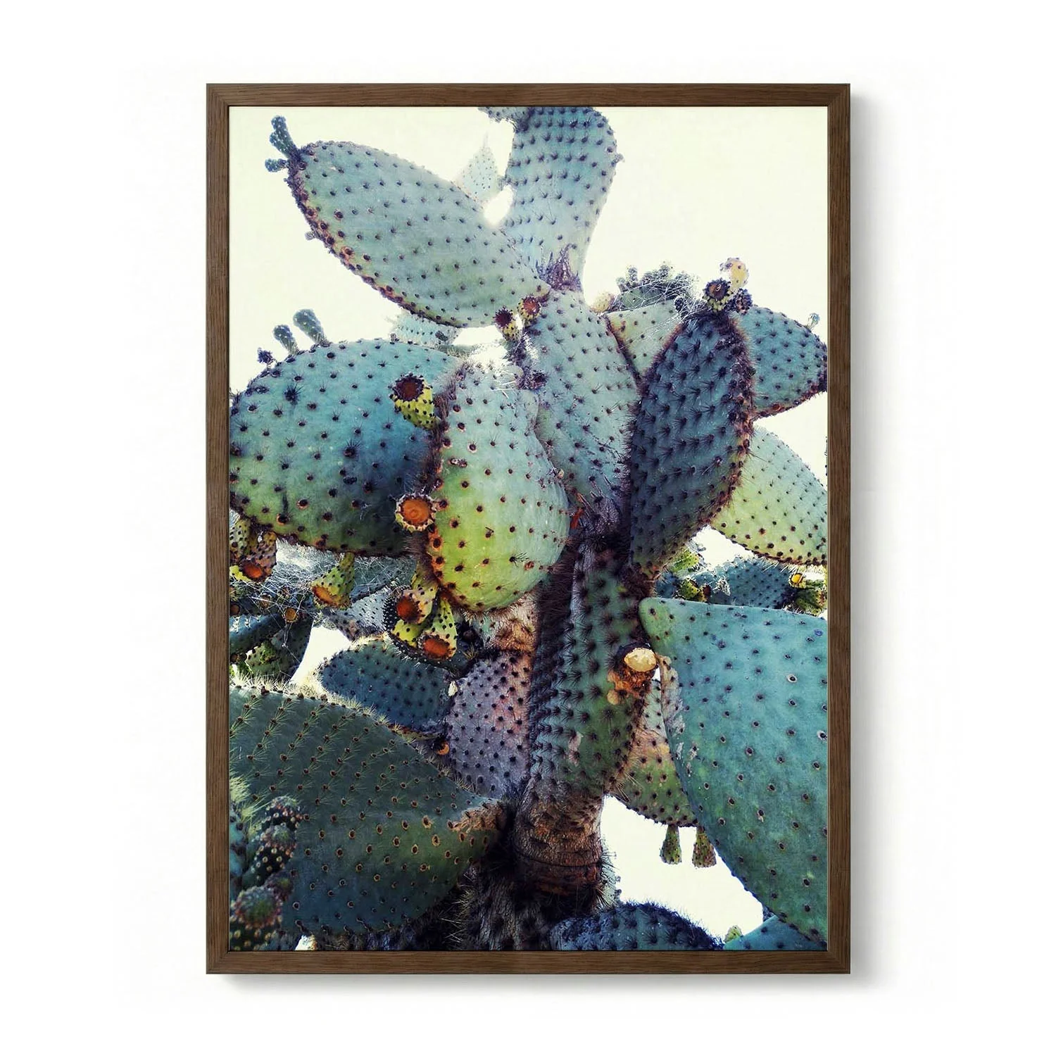 Prickly Pear Cactus by Angelo Cerantola - Image 6