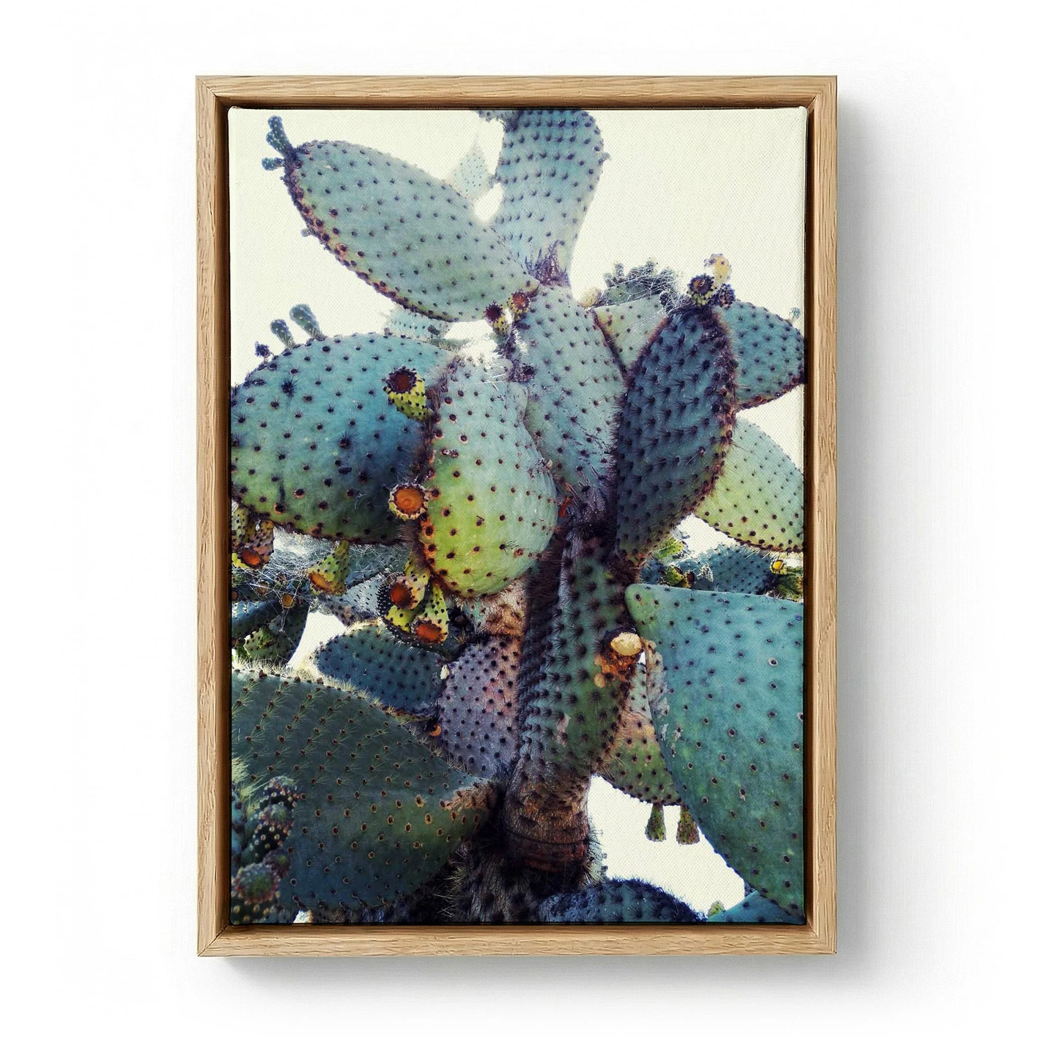 Prickly Pear Cactus by Angelo Cerantola