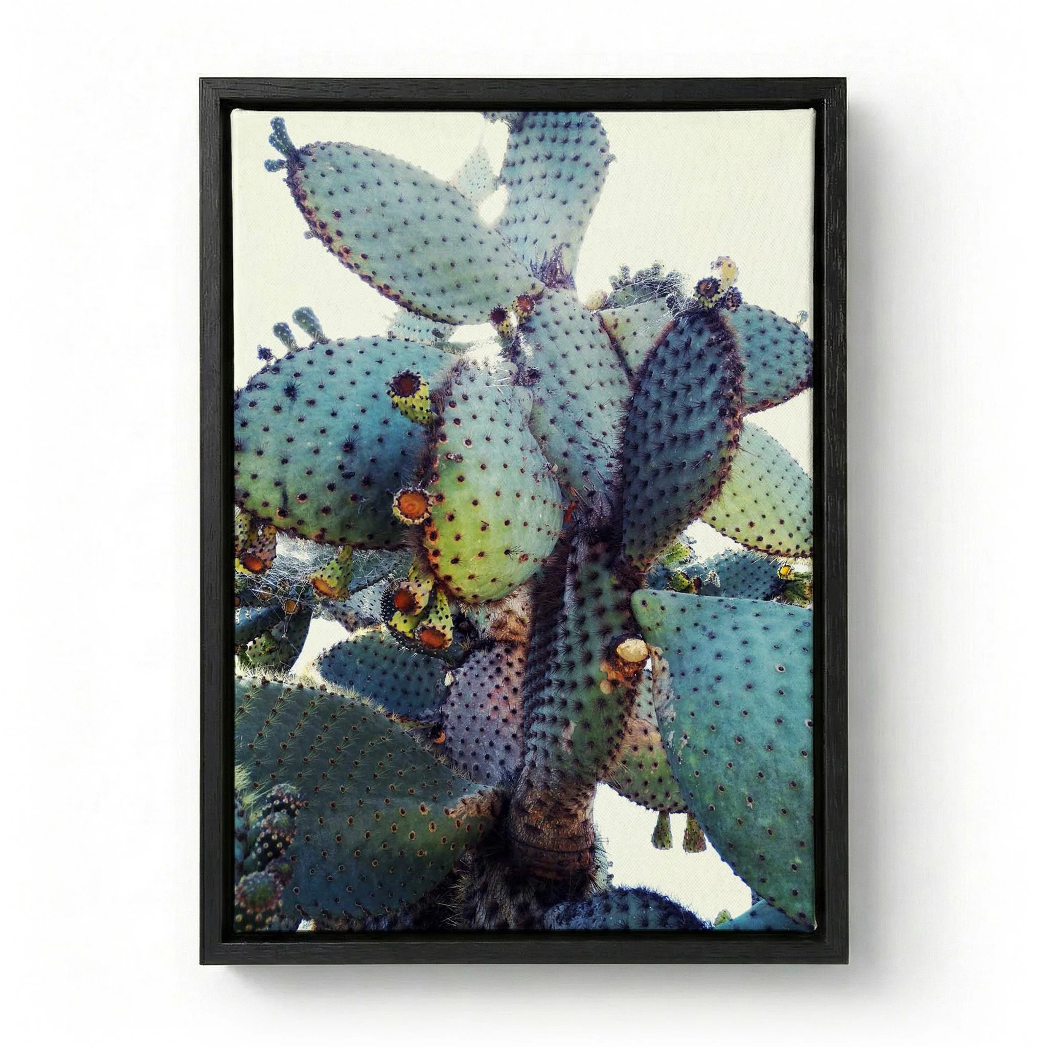Prickly Pear Cactus by Angelo Cerantola - Image 5