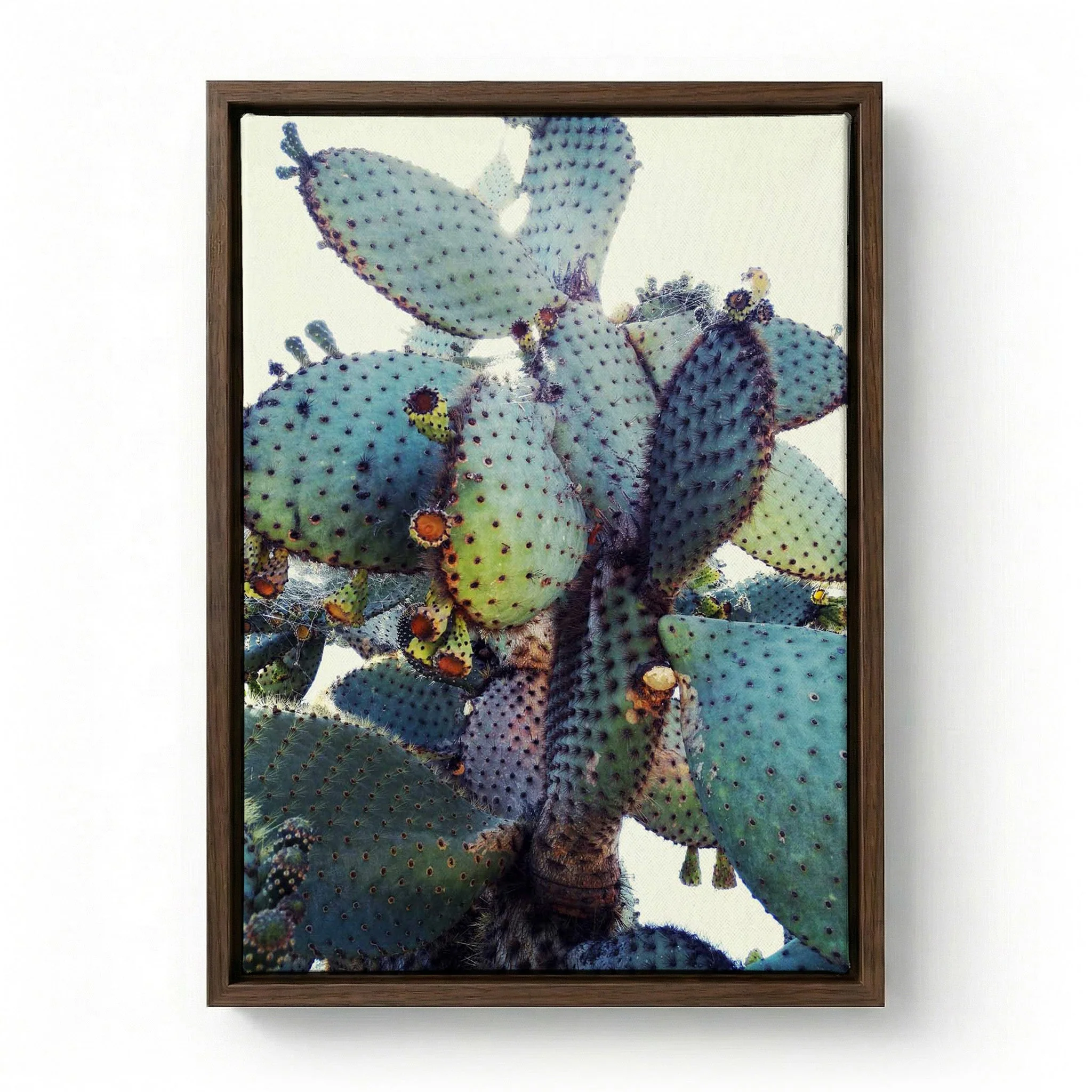 Prickly Pear Cactus by Angelo Cerantola - Image 6