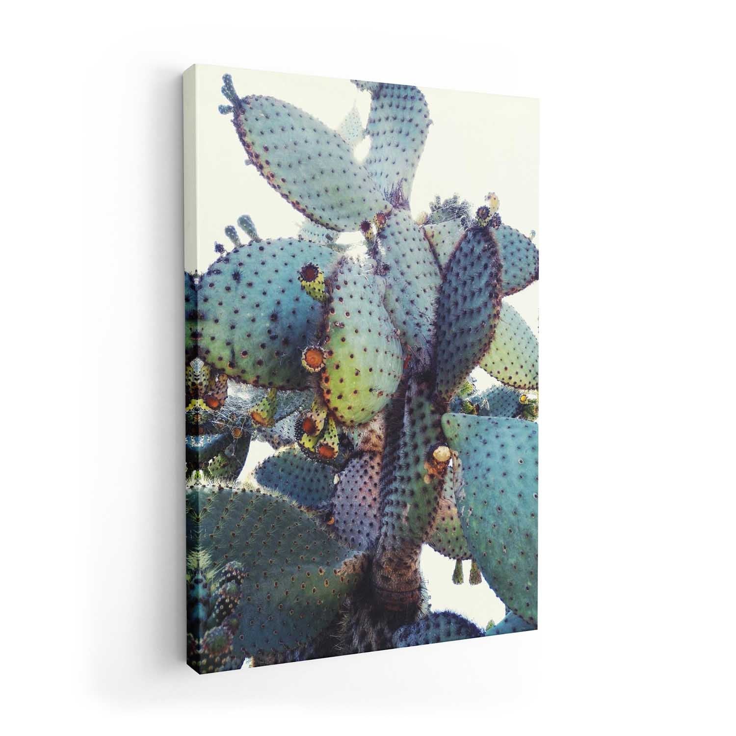 Prickly Pear Cactus by Angelo Cerantola - Image 7