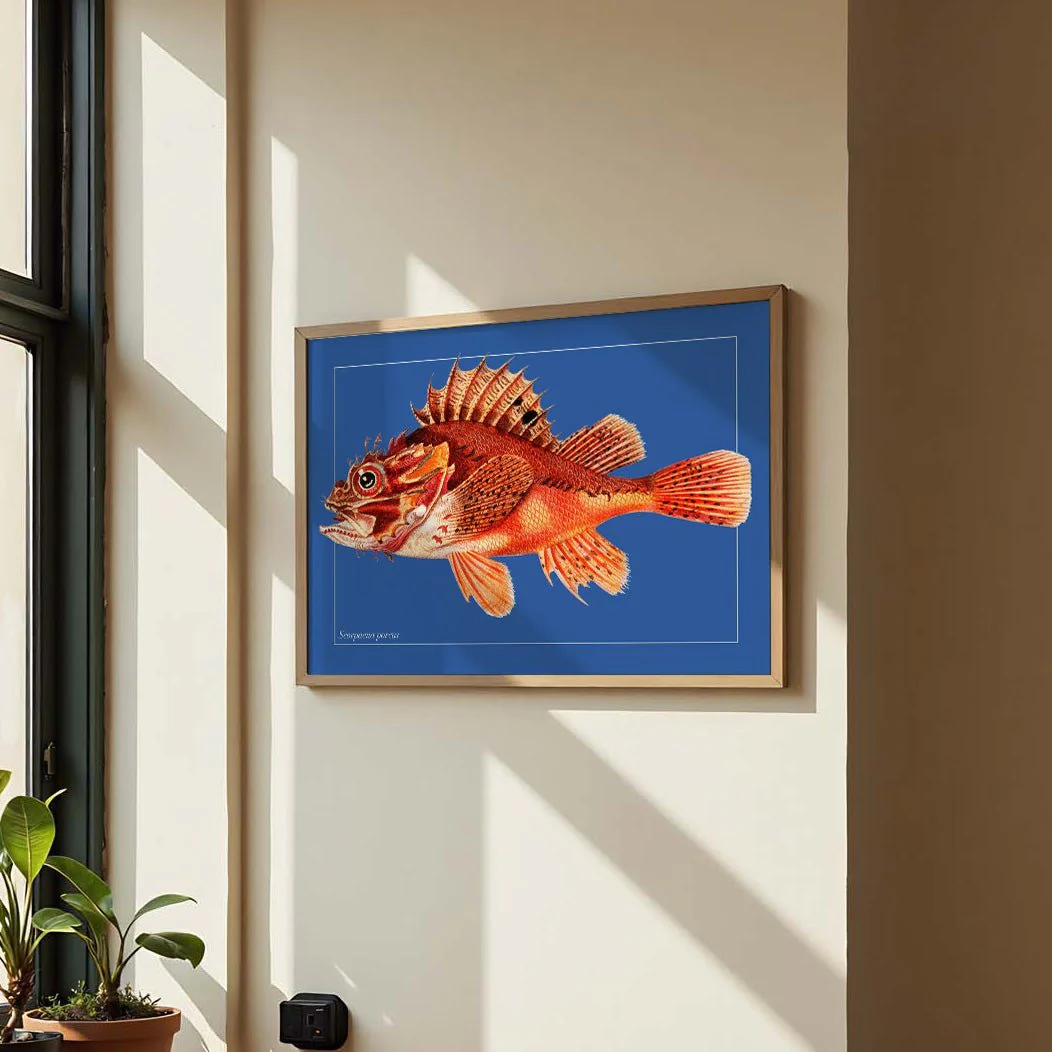 Punk Fish - Image 3