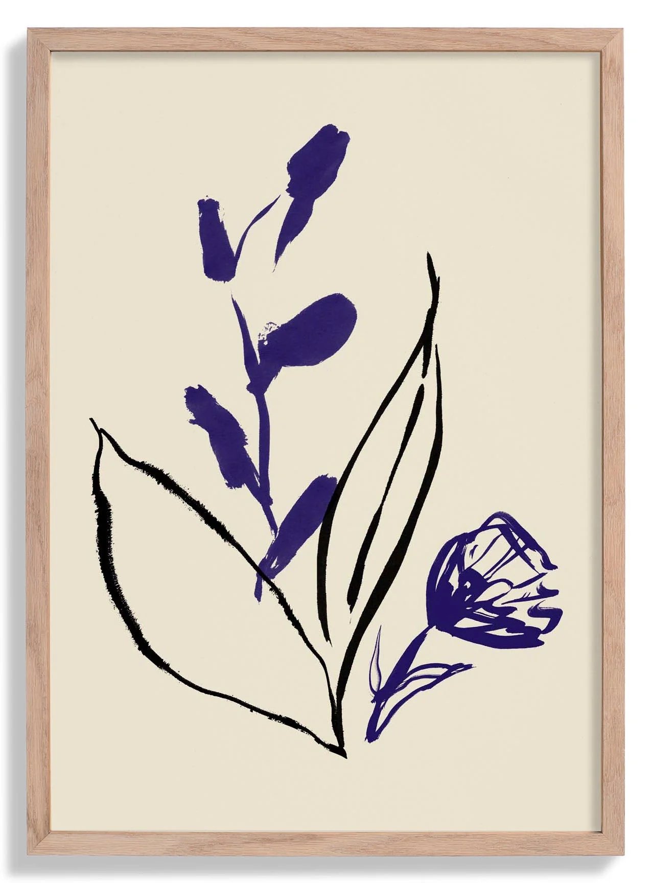 Purple and Black lines