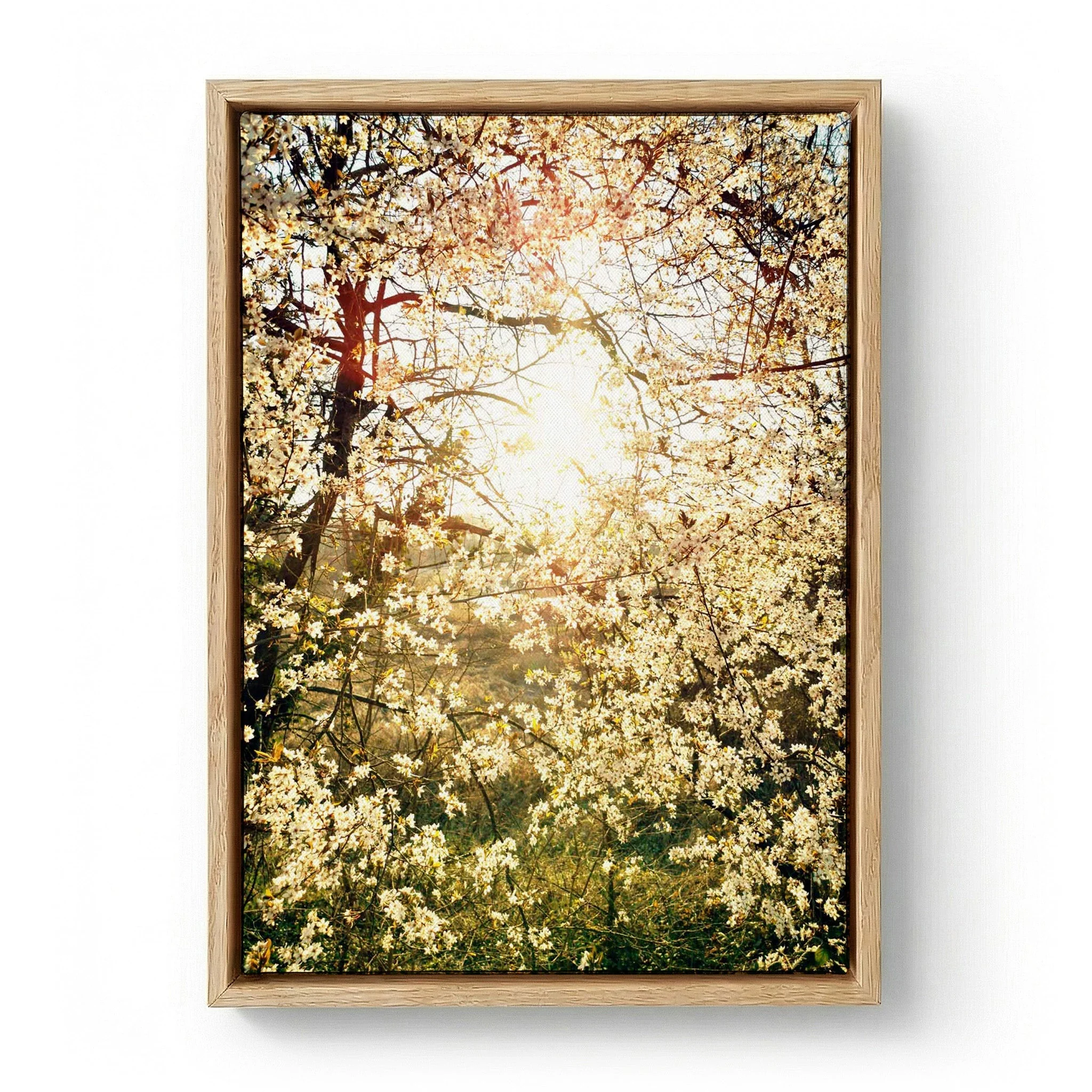 Radiant Spring Blossoms by Angelo Cerantola