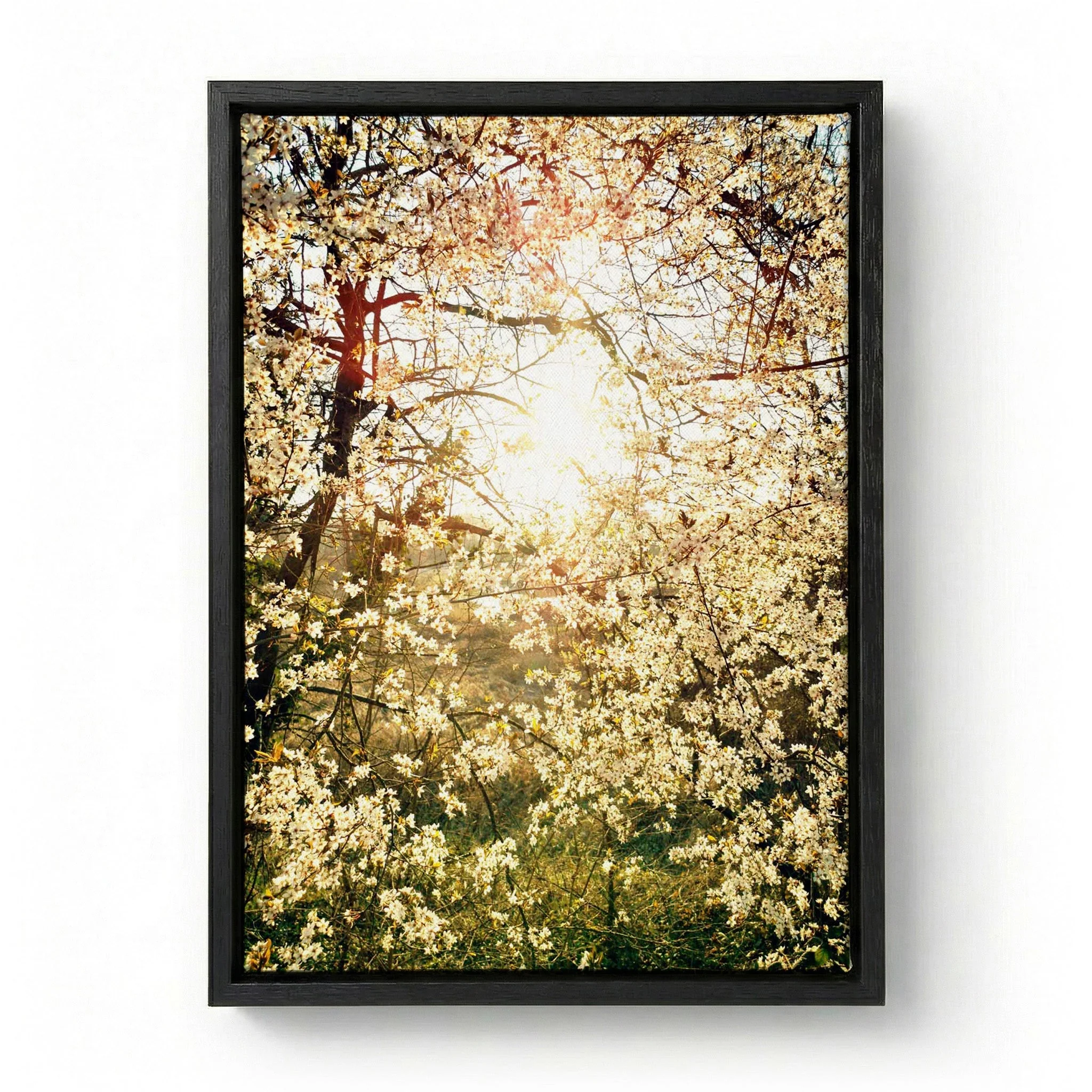 Radiant Spring Blossoms by Angelo Cerantola - Image 5