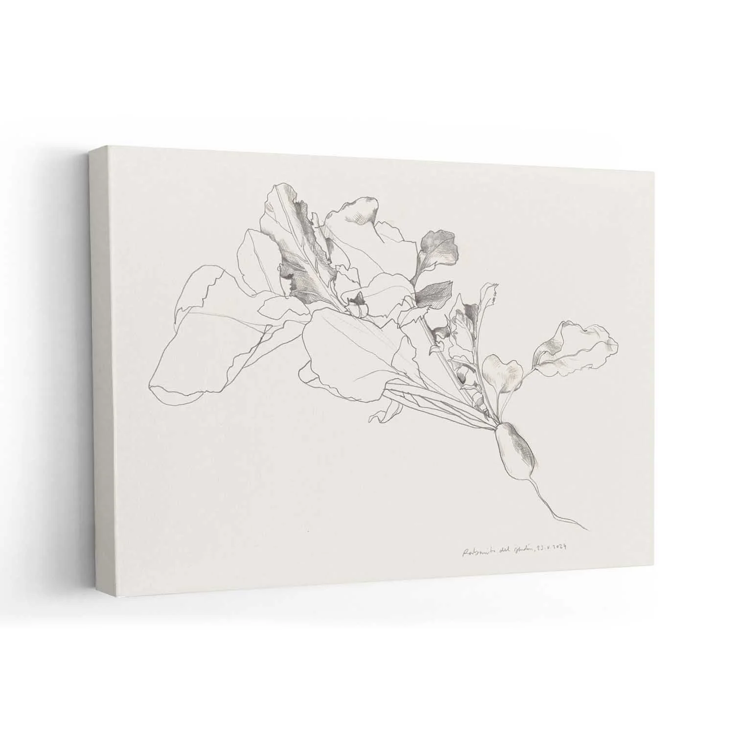 Radish Botanical Drawing by Catalina Somolinos - Image 7
