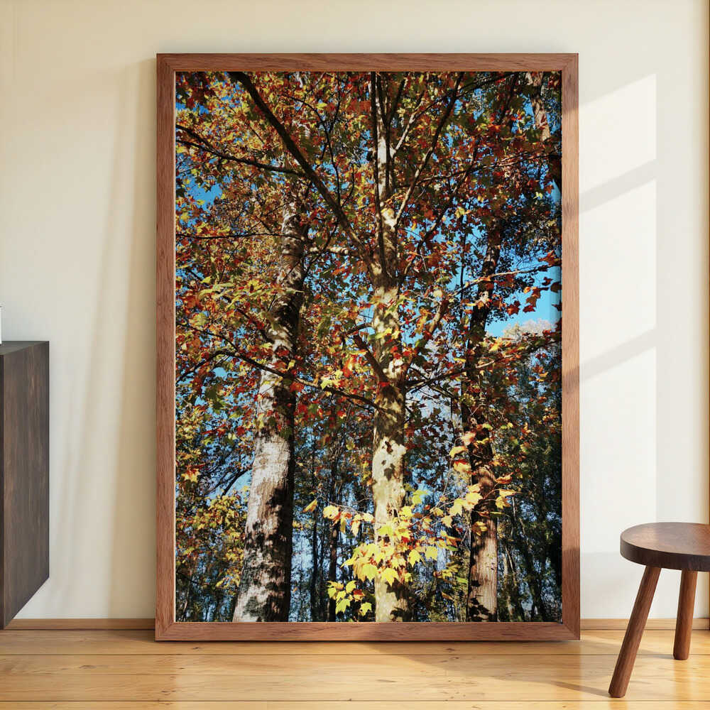 Ready To Fall by Angelo Cerantola - Image 3