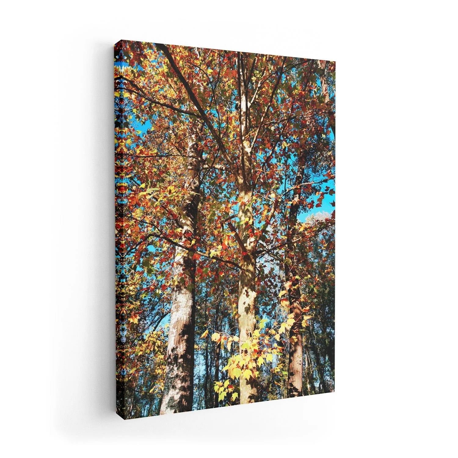 Ready To Fall by Angelo Cerantola - Image 7