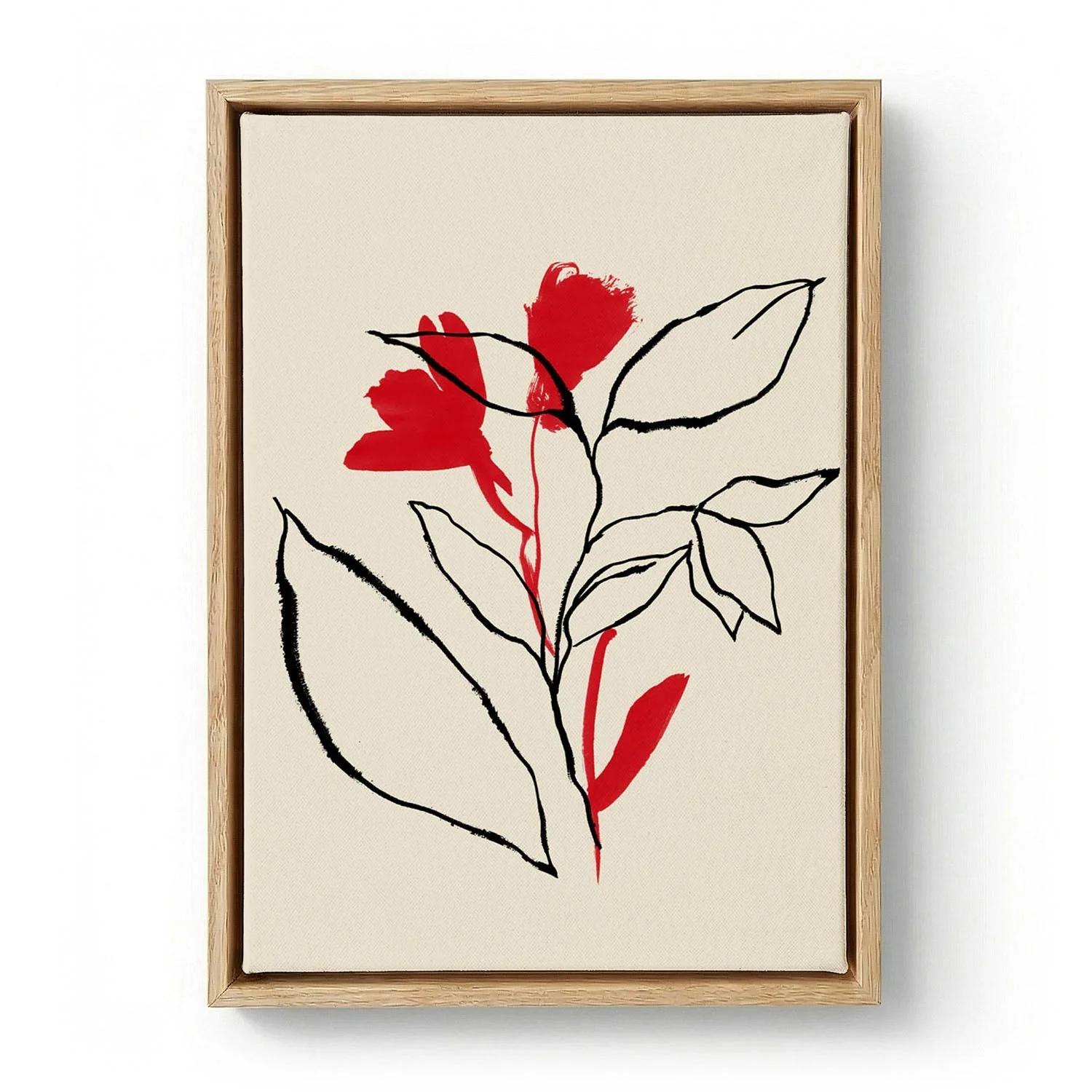 Red and Black Lines
