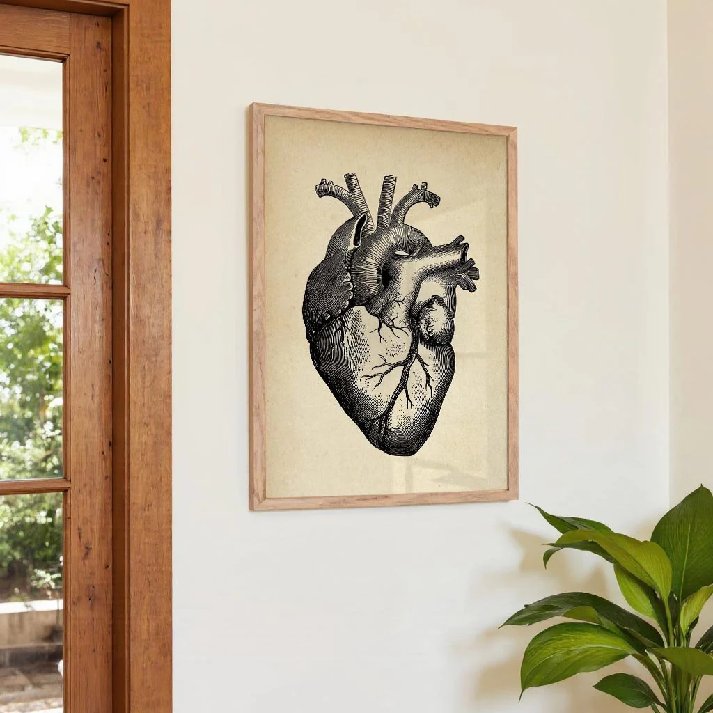 Anatomical Heart - Image 4