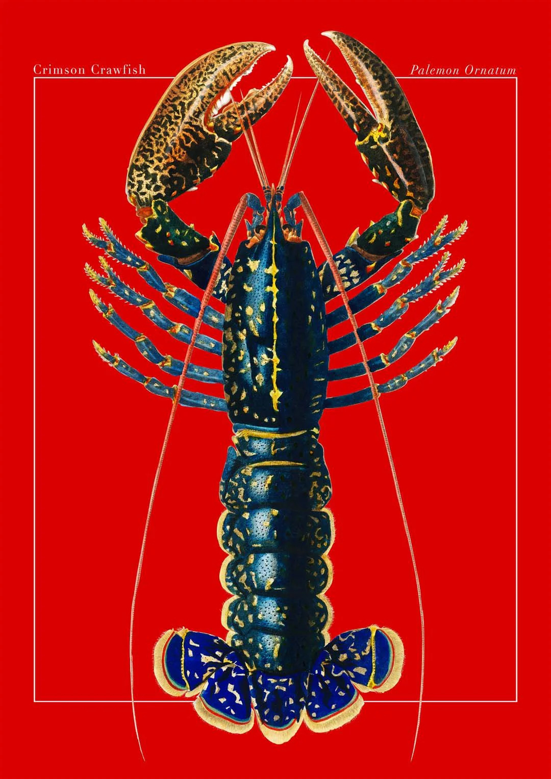 Red Lobster - Image 8