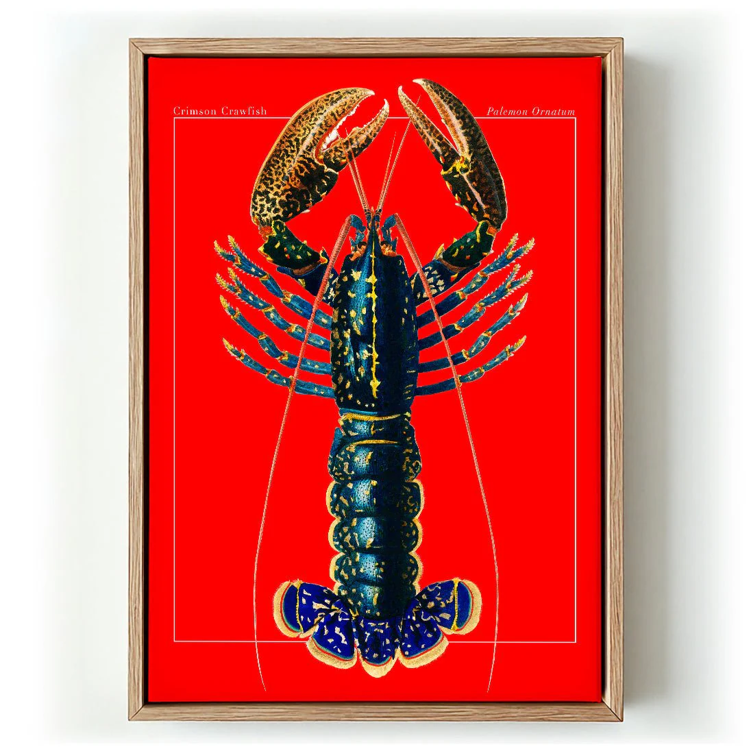 Red Lobster