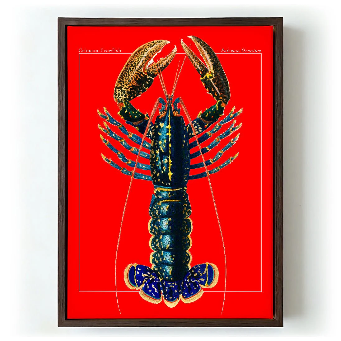 Red Lobster - Image 5