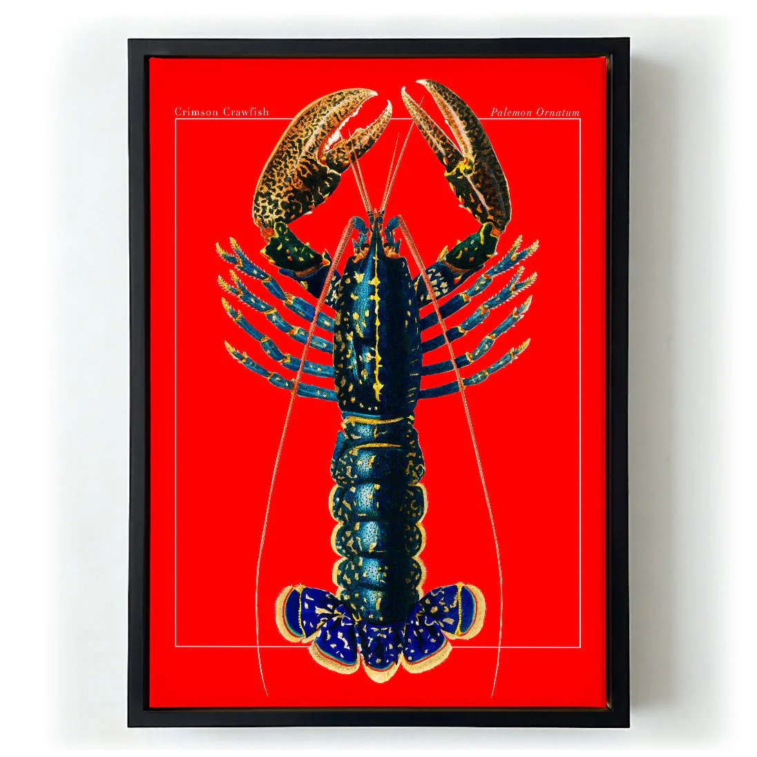 Red Lobster - Image 6