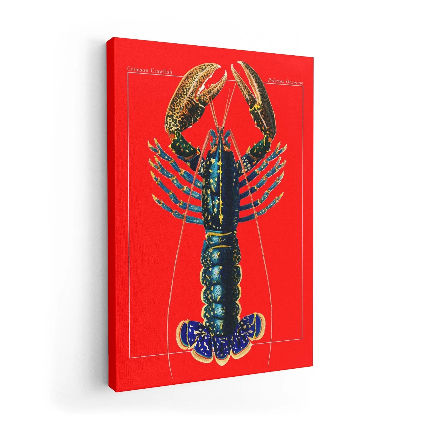 Red Lobster - Image 7