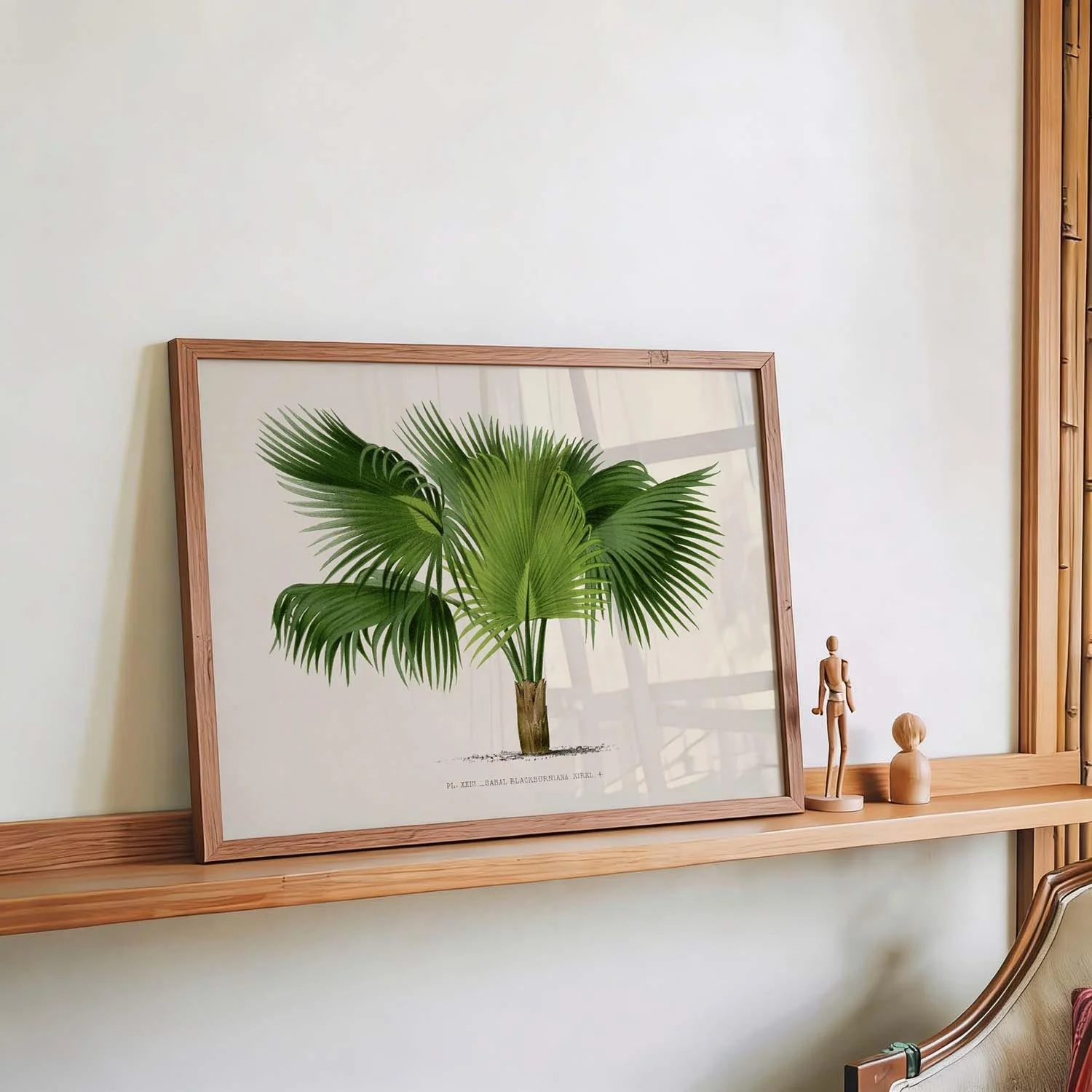 Sabal Blackburniana Palm Tree Art Print - Image 4