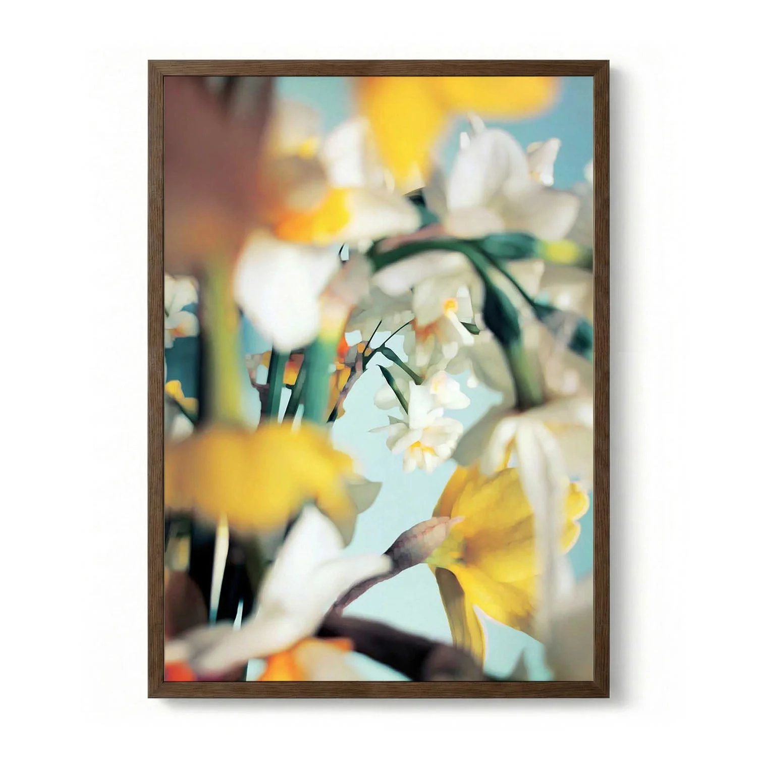 Soft Spring Daffodils by Angelo Cerantola - Image 6