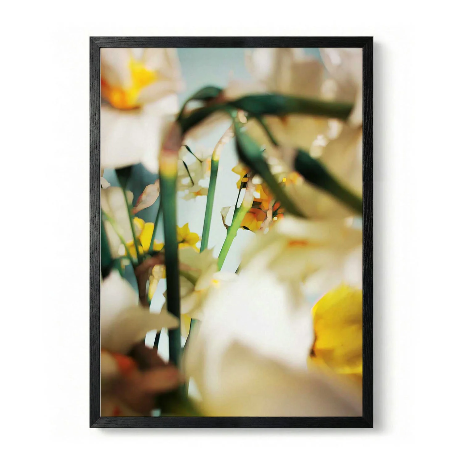 Soft Yellow Daffodils by Angelo Cerantola - Image 5