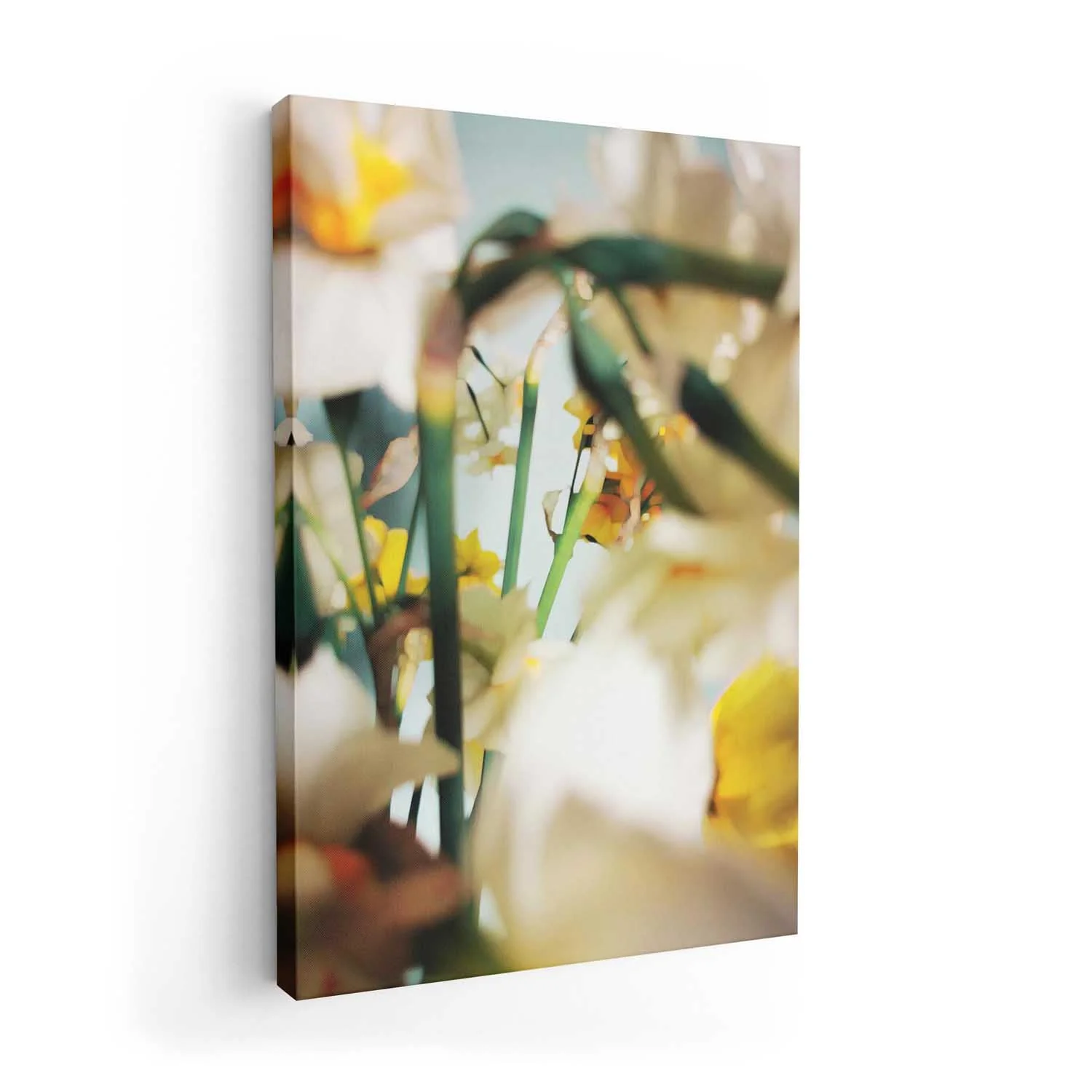 Soft Yellow Daffodils by Angelo Cerantola - Image 7