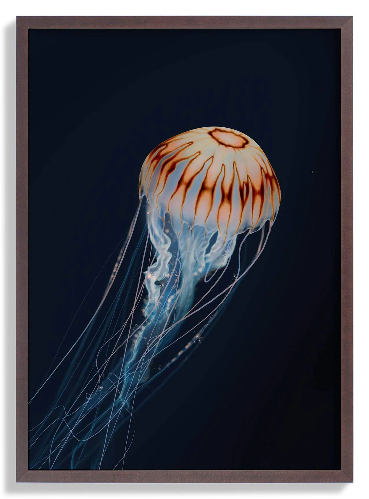 Sparkling Horizon Jellyfish by Julia Charlott - Image 7