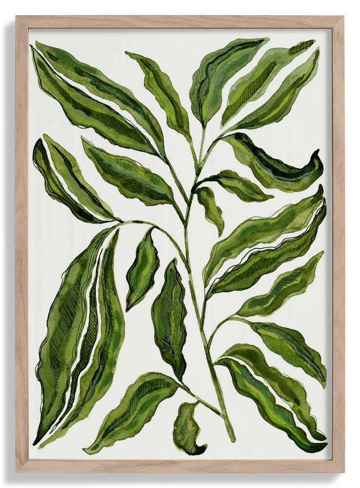 Sprig Of Leaves by Susan Black