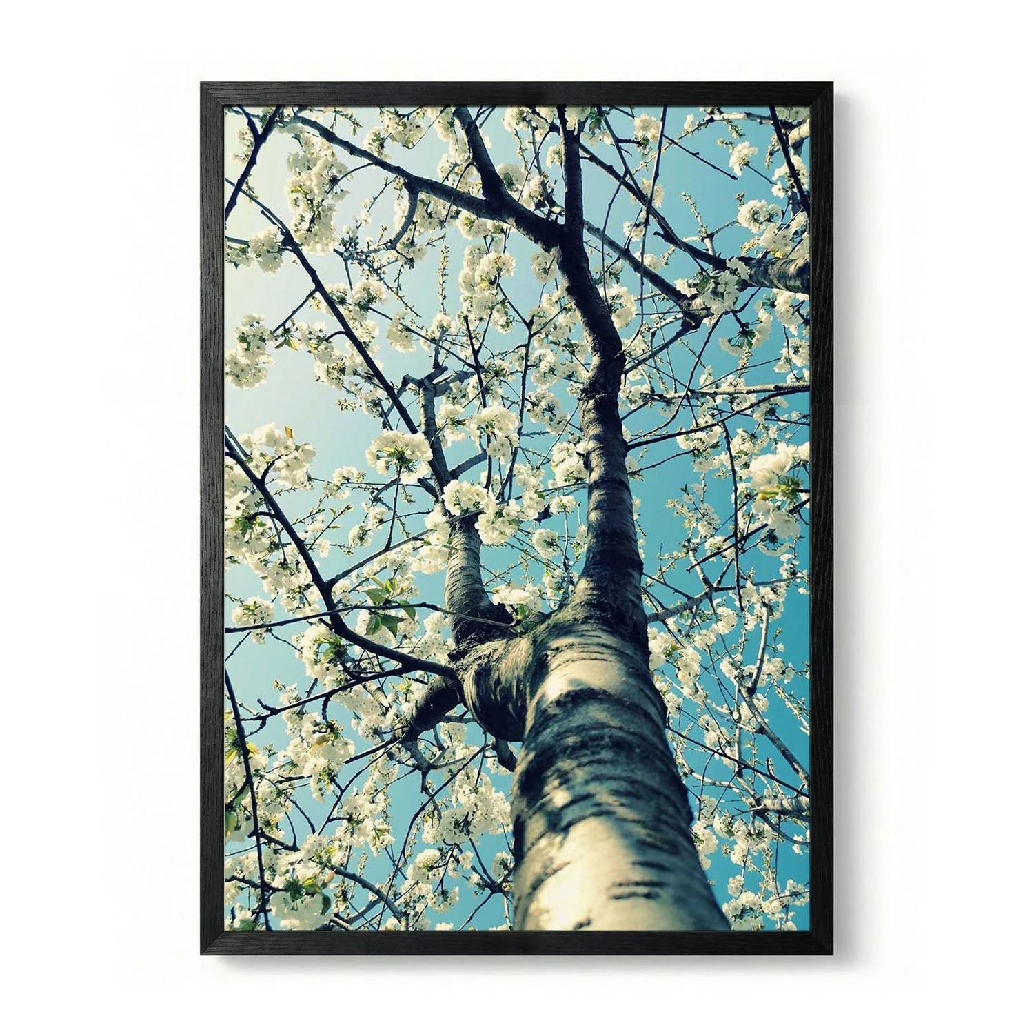 Spring Tree Blossoms by Angelo Cerantola - Image 5