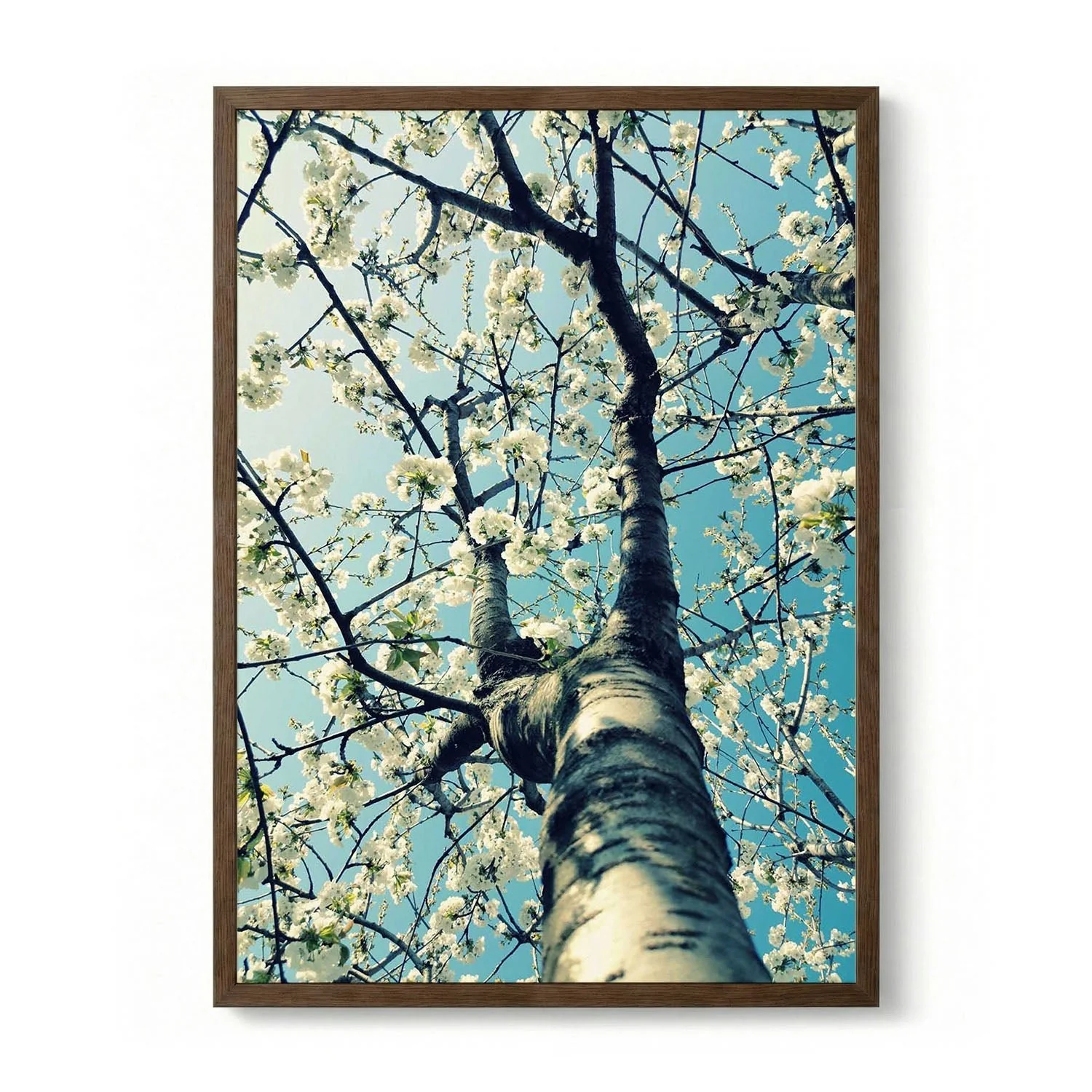 Spring Tree Blossoms by Angelo Cerantola - Image 6
