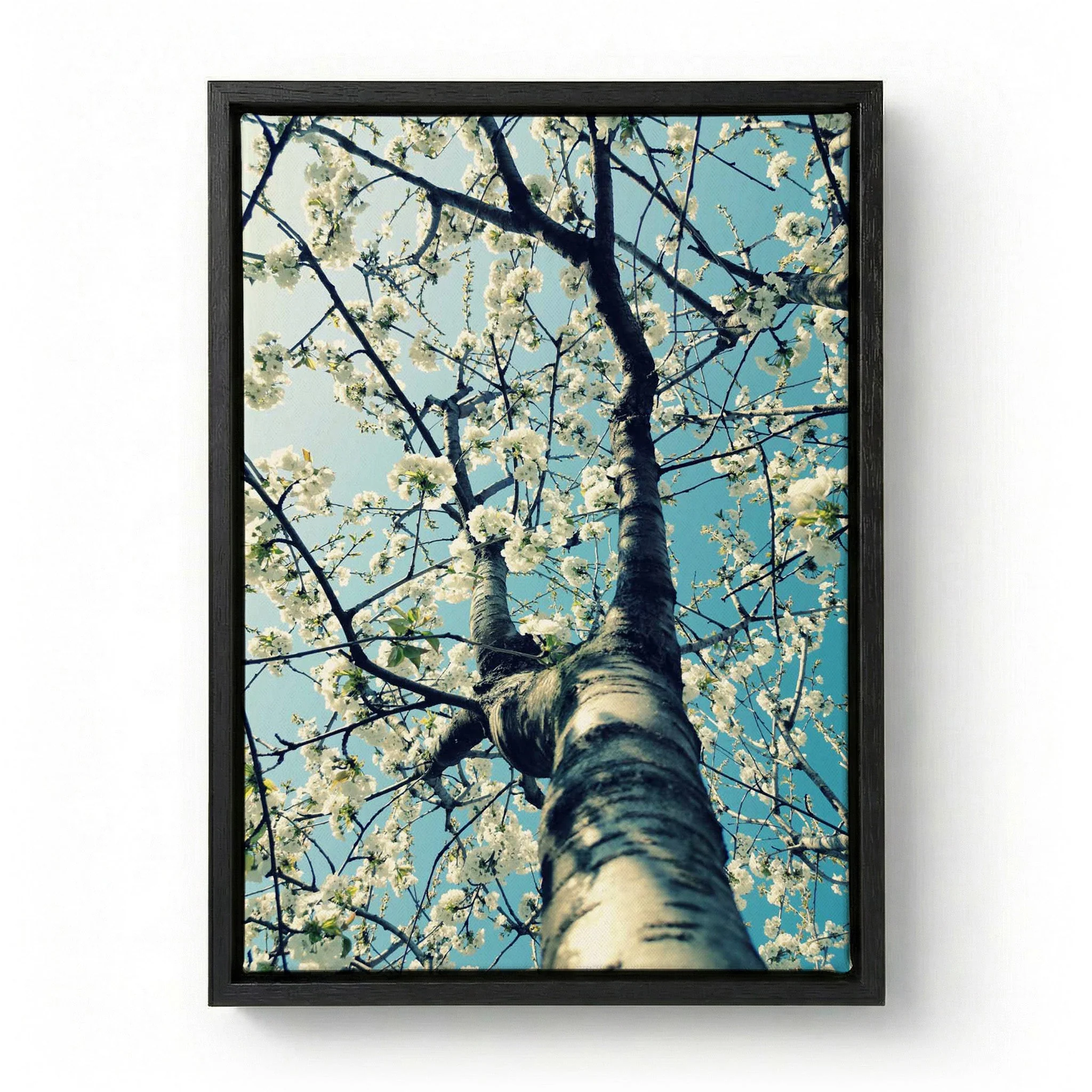 Spring Tree Blossoms by Angelo Cerantola - Image 5