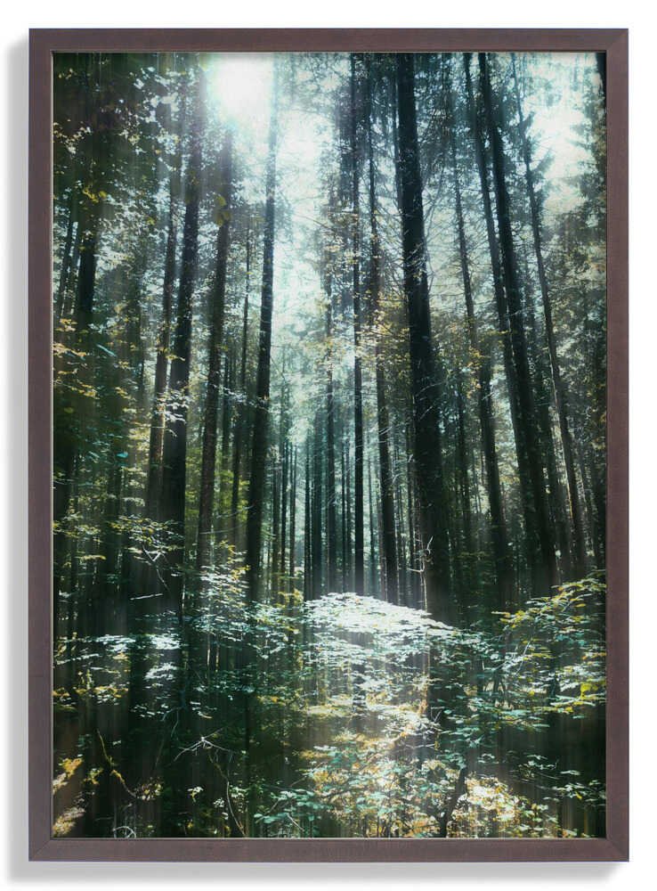Stillness by Angelo Cerantola - Image 7