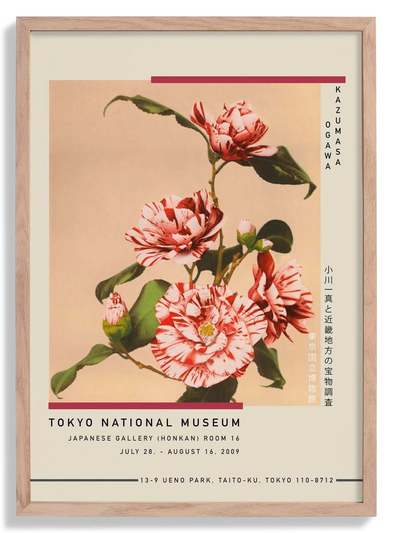 Striped Camellias by Kazumasa Exhibition