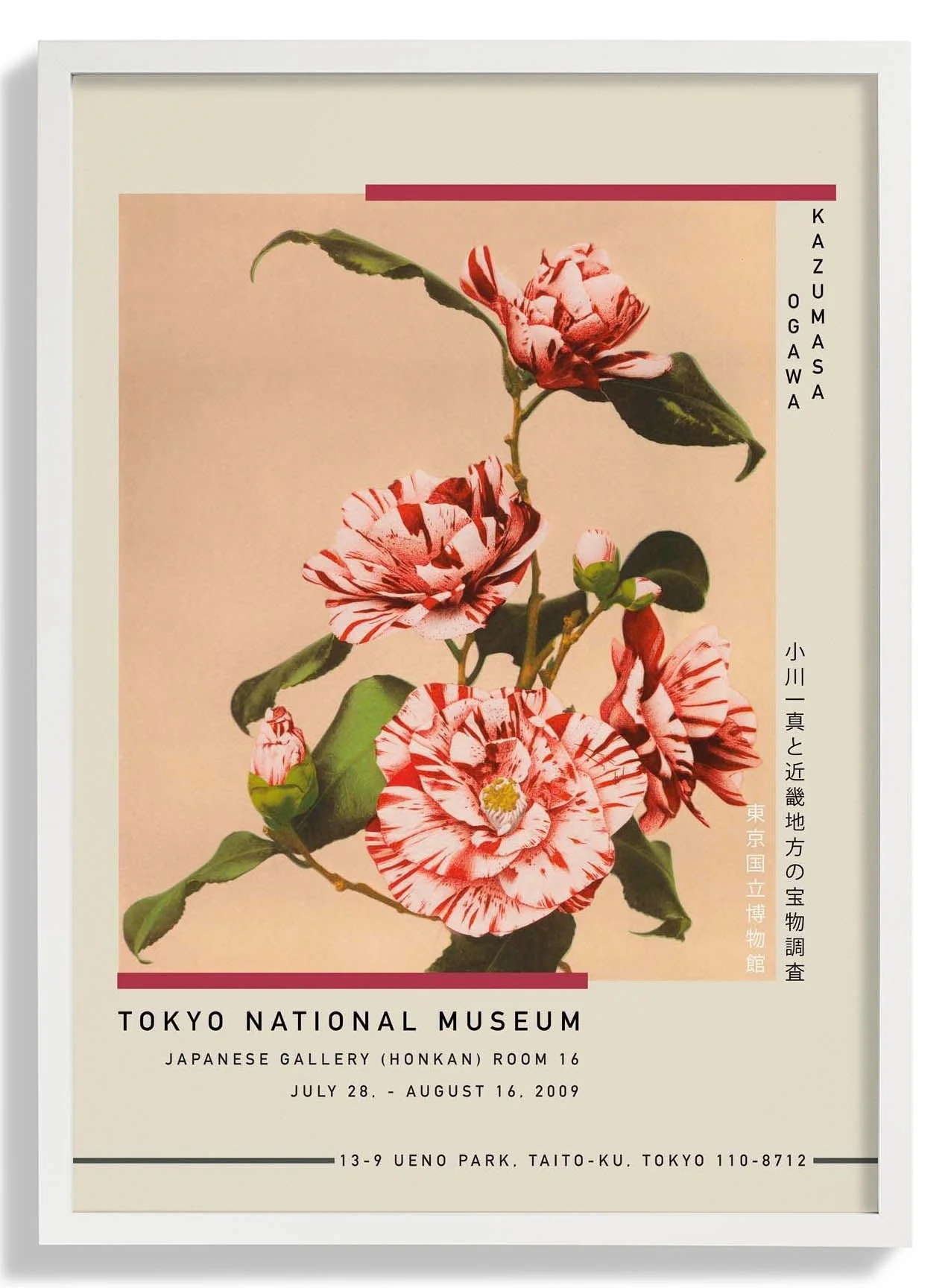 Striped Camellias by Kazumasa Exhibition - Image 4