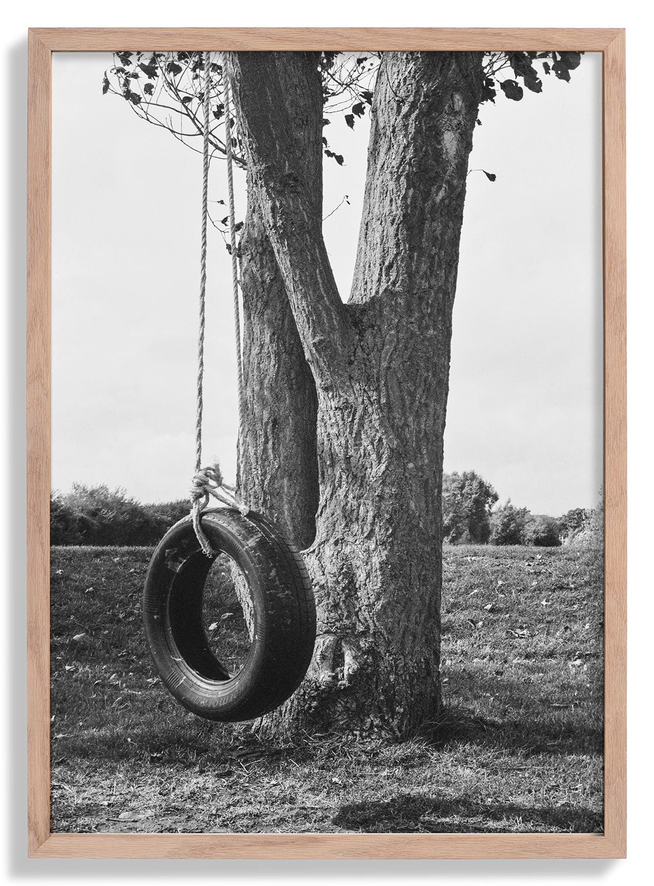 Swing by Sophie Robinson