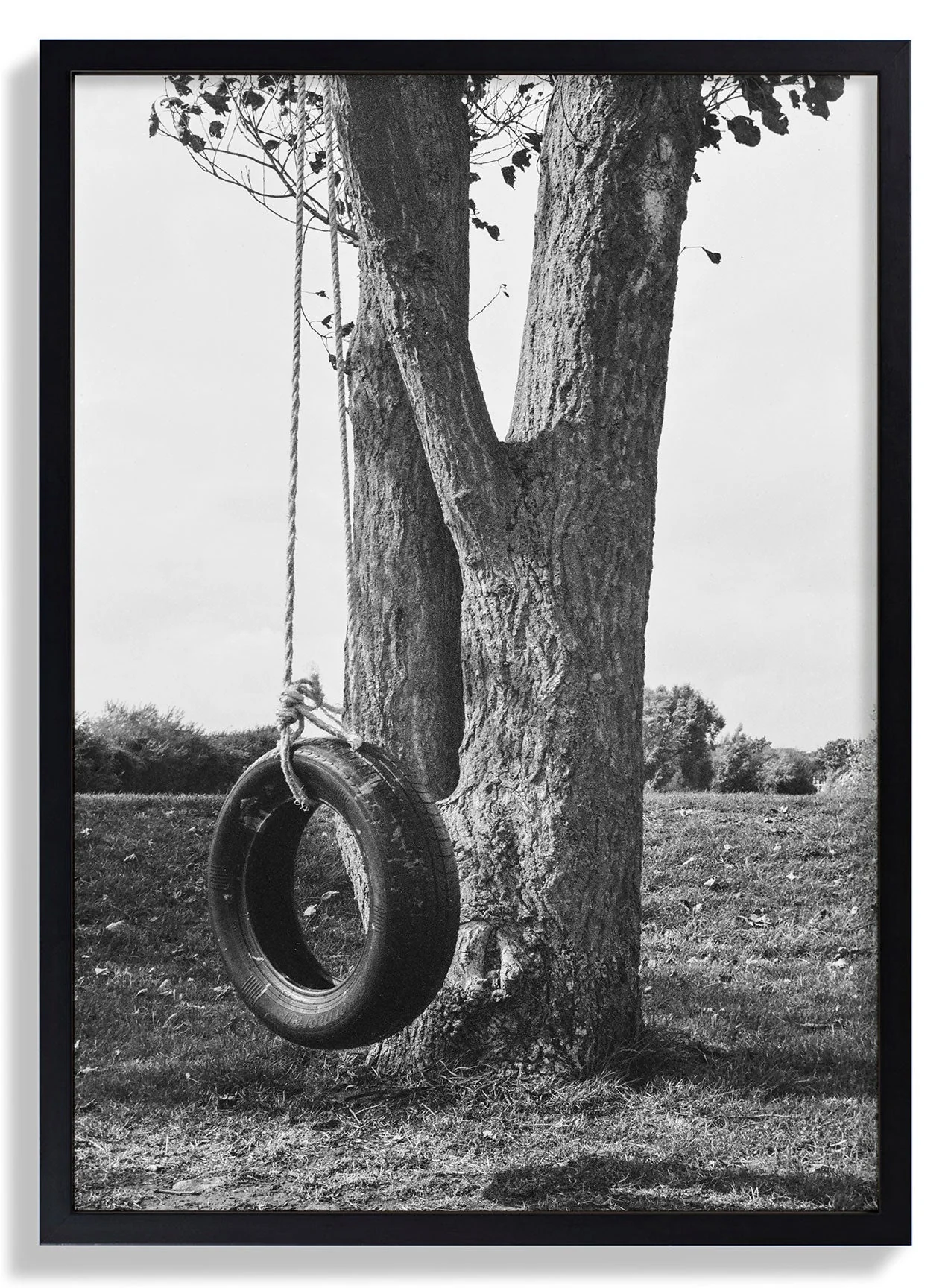 Swing by Sophie Robinson - Image 3