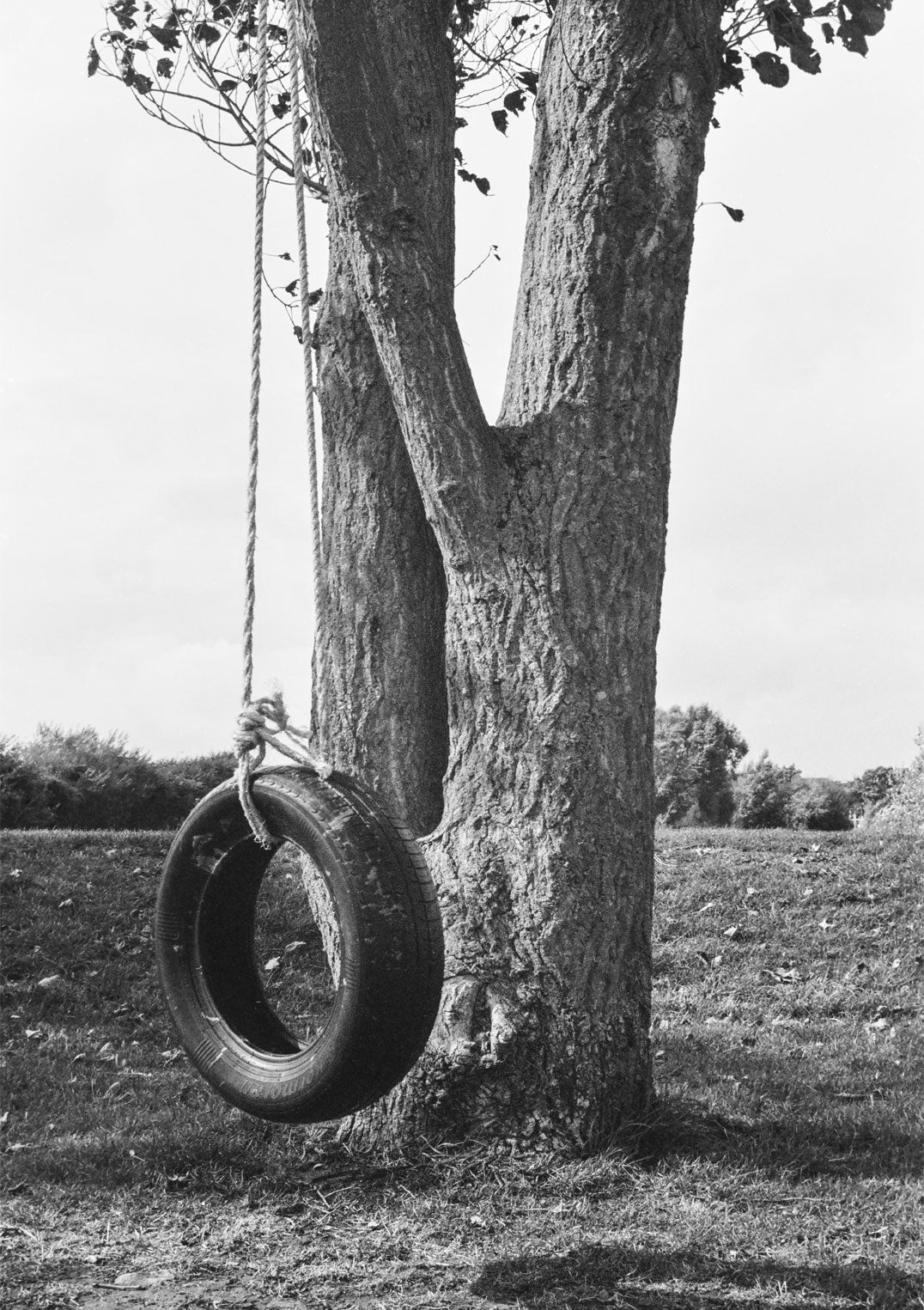 Swing by Sophie Robinson - Image 5