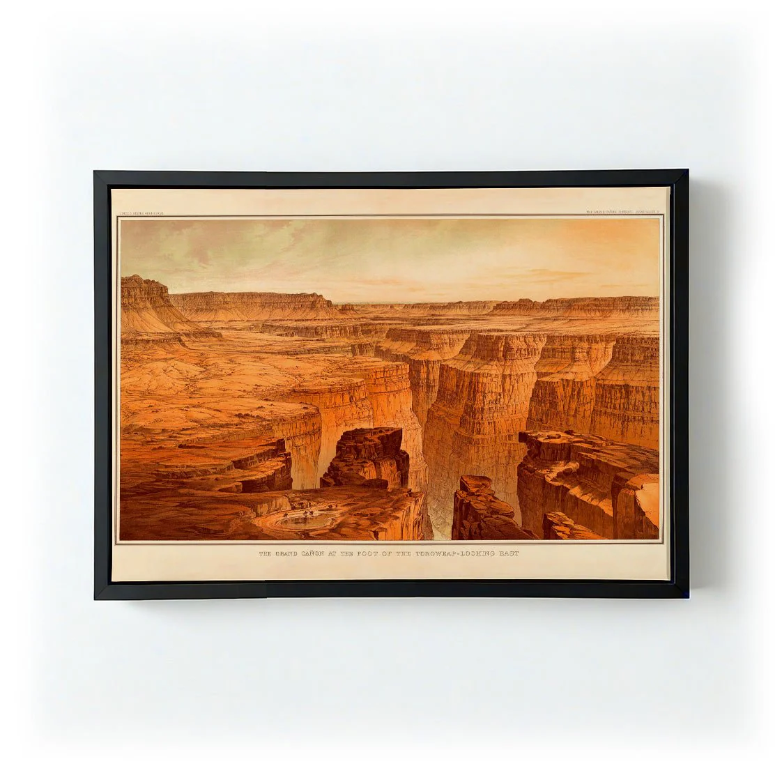 The Grand Canyon National Park - Image 5