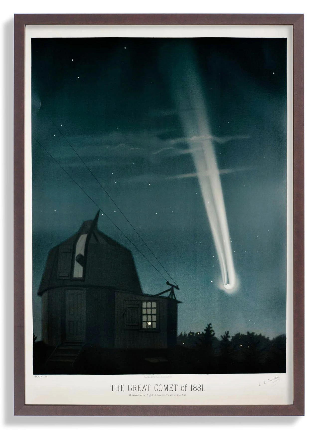 The Great Comet - Image 7