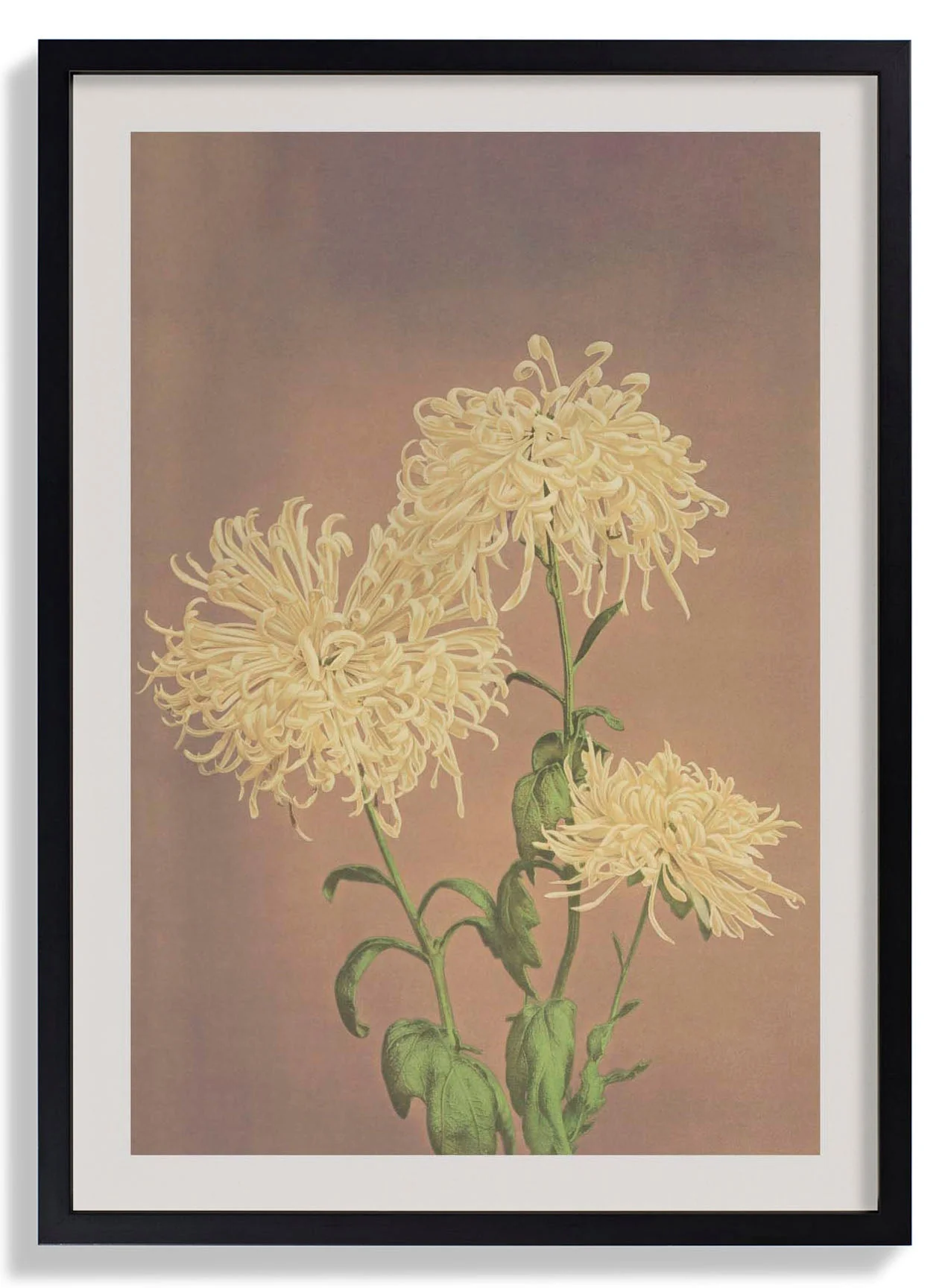 Three Yellow Chrysanthemum by Ogawa Kazumasa - Image 5