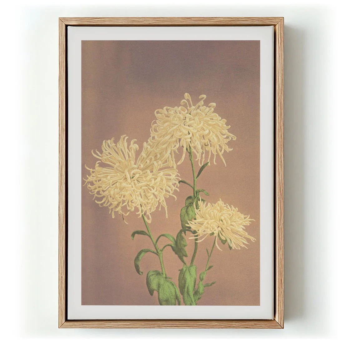 Three Yellow Chrysanthemum by Ogawa Kazumasa